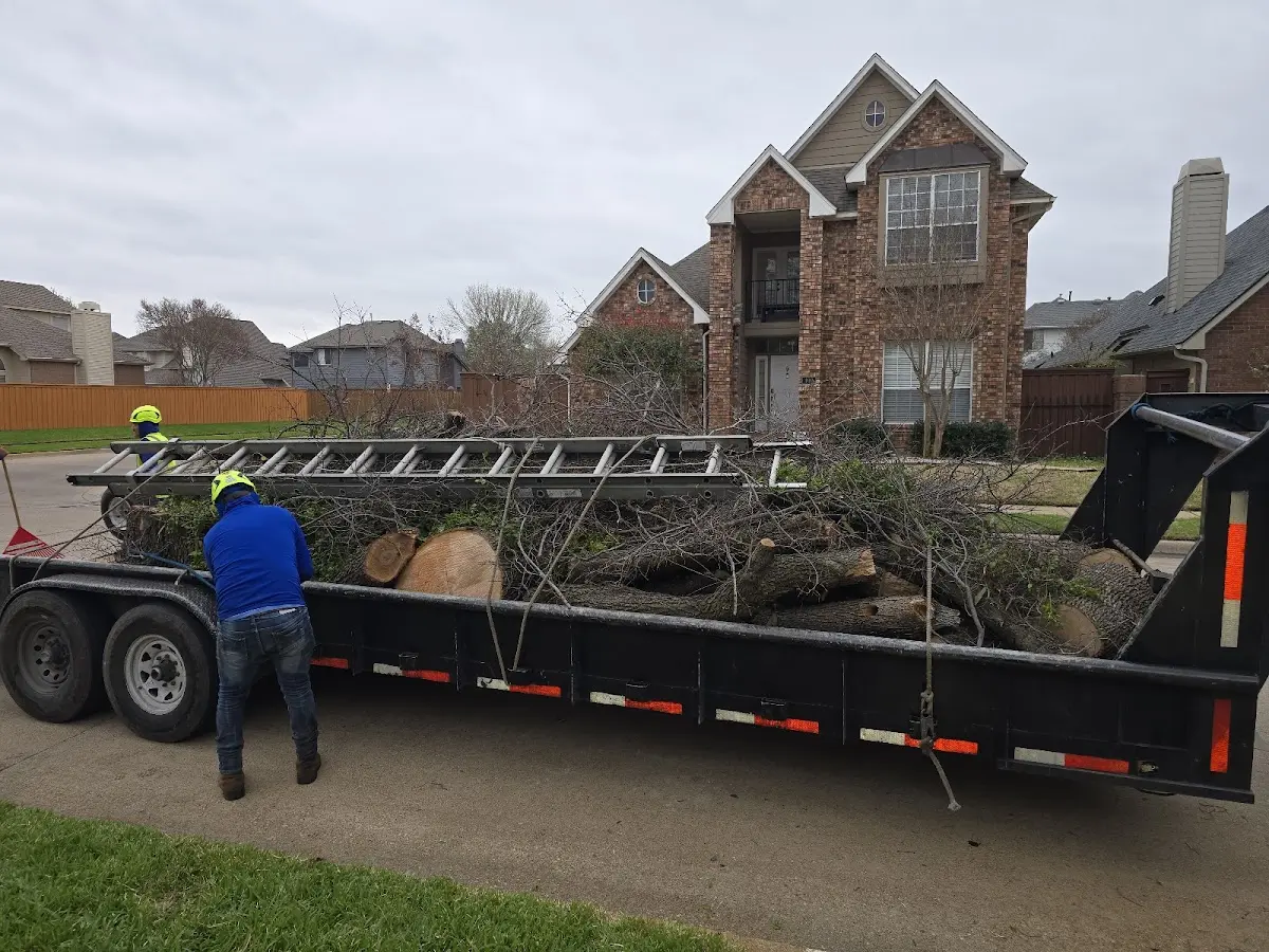 Expert Crown Reduction with proper safety equipment in Meadow Grove